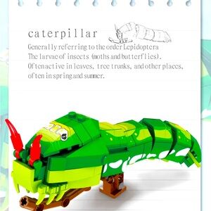 Caterpillar 🐛 Insect Series Bug Collection